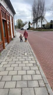 Zusjes 🥹🩷 dezelfde wortel, twee verschillende bloemen 🌷 *die handen in de zakken van Pip 🤣✌🏻