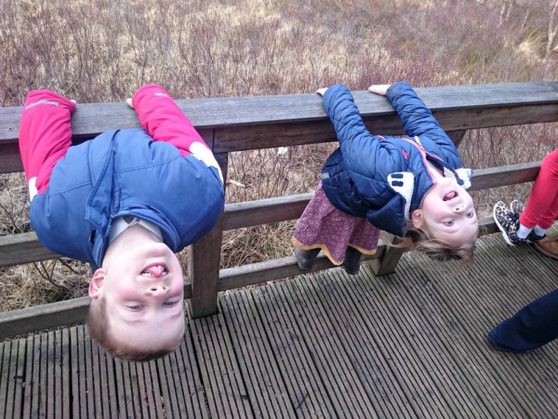 Spelen