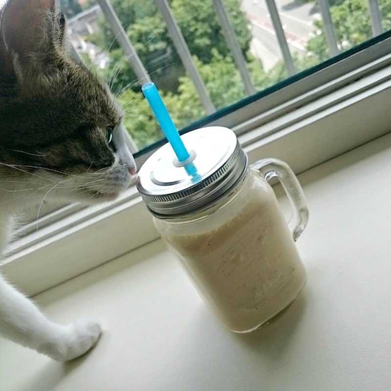 Herbalife shake