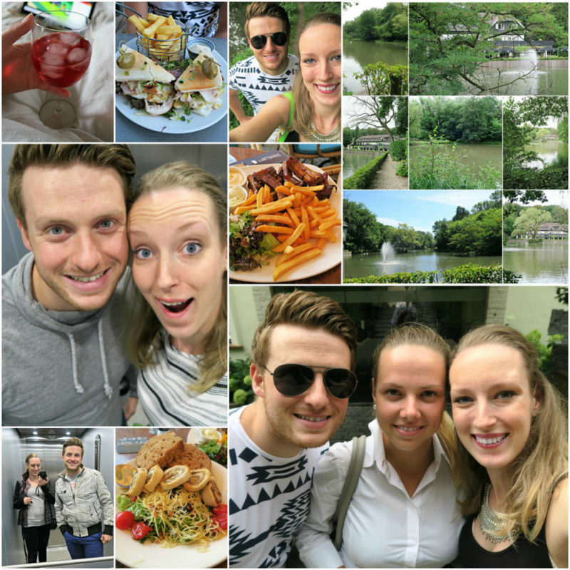 Weekly favorites