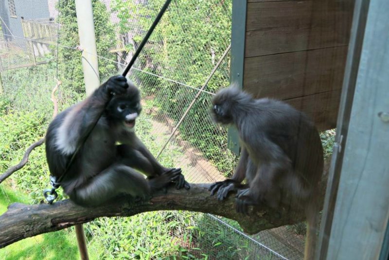Burgers Zoo