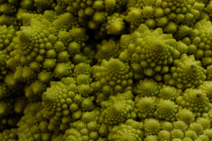 Groene bloemkool