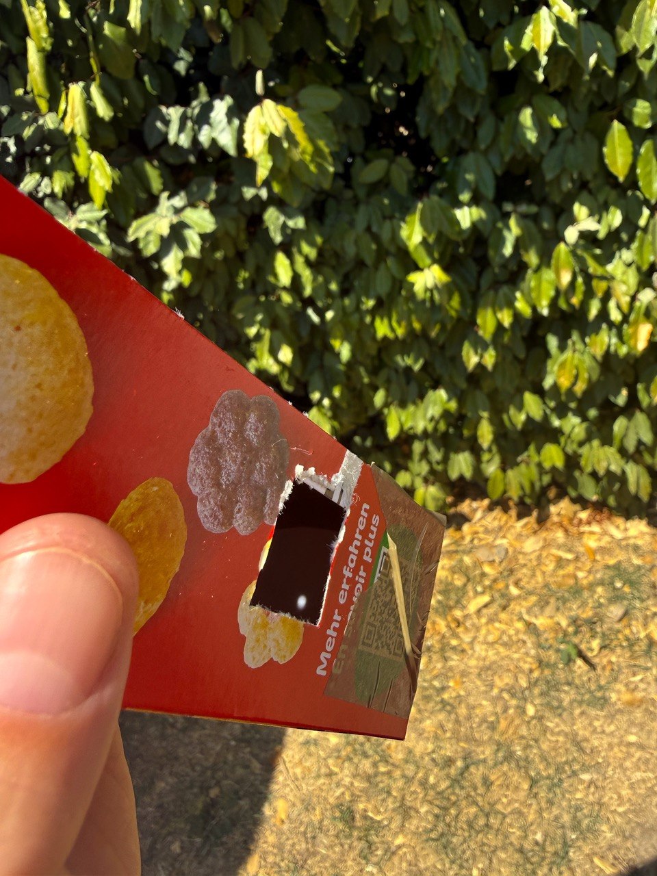 Vanja maakte zelf van karton een eclips kijkdoos