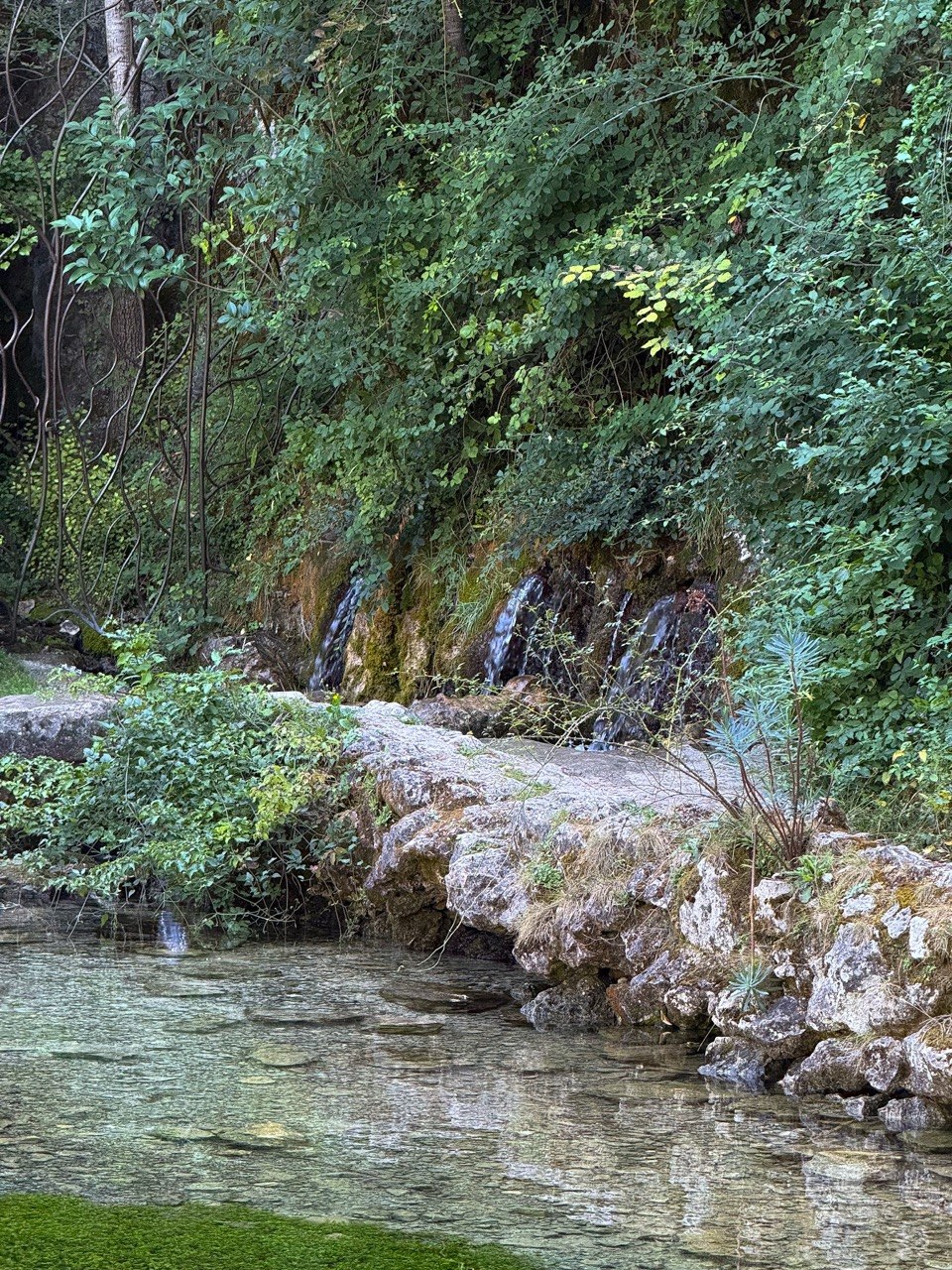 De stromende bron bij Source du Groseau